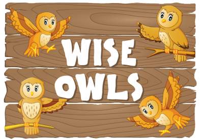 Wise Owls Room